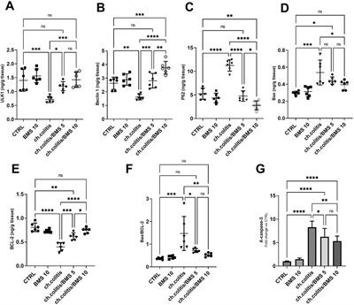 Activation of AMPK/SIRT1/FOXO3a signaling by BMS-477118 (saxagliptin) mitigates chronic colitis in rats: uncovering new anti-inflammatory and antifibrotic roles